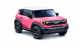 XanhGo Car